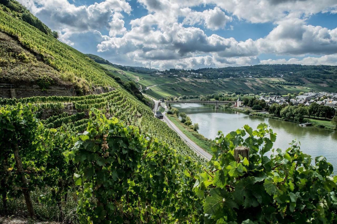 Gastehaus-Weingut Loersch Ξενοδοχείο Leiwen Εξωτερικό φωτογραφία